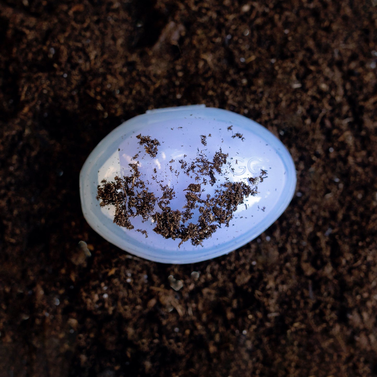The Teething Eggshell- Protective Case