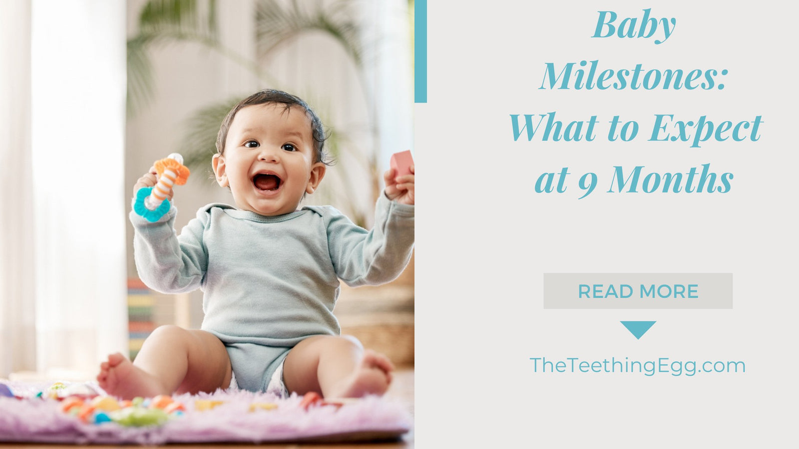 Baby Milestones What to Expect at 9 Months The Teething Egg