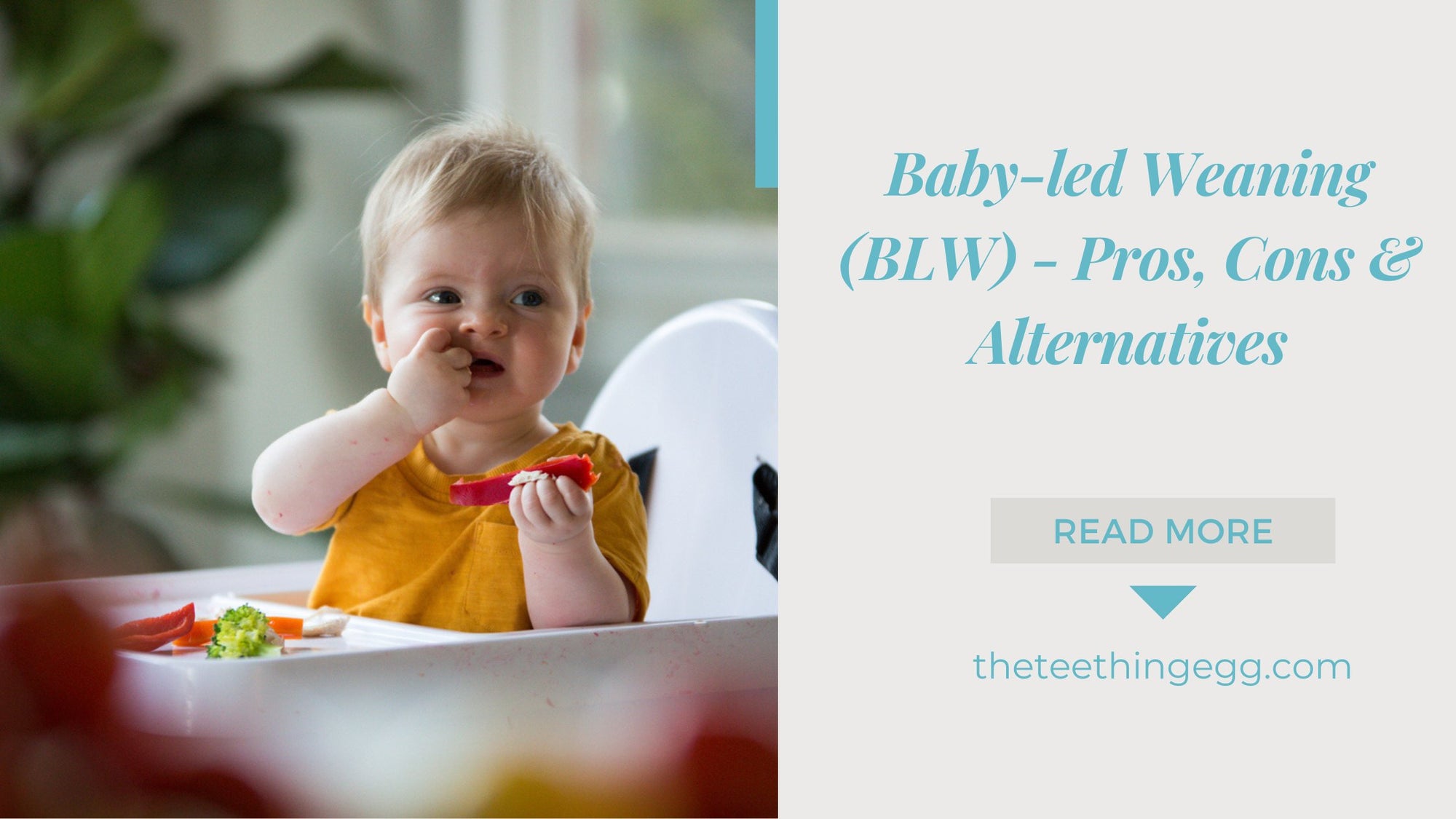Baby-led Weaning (BLW) - Pros, Cons, Foods & Alternatives