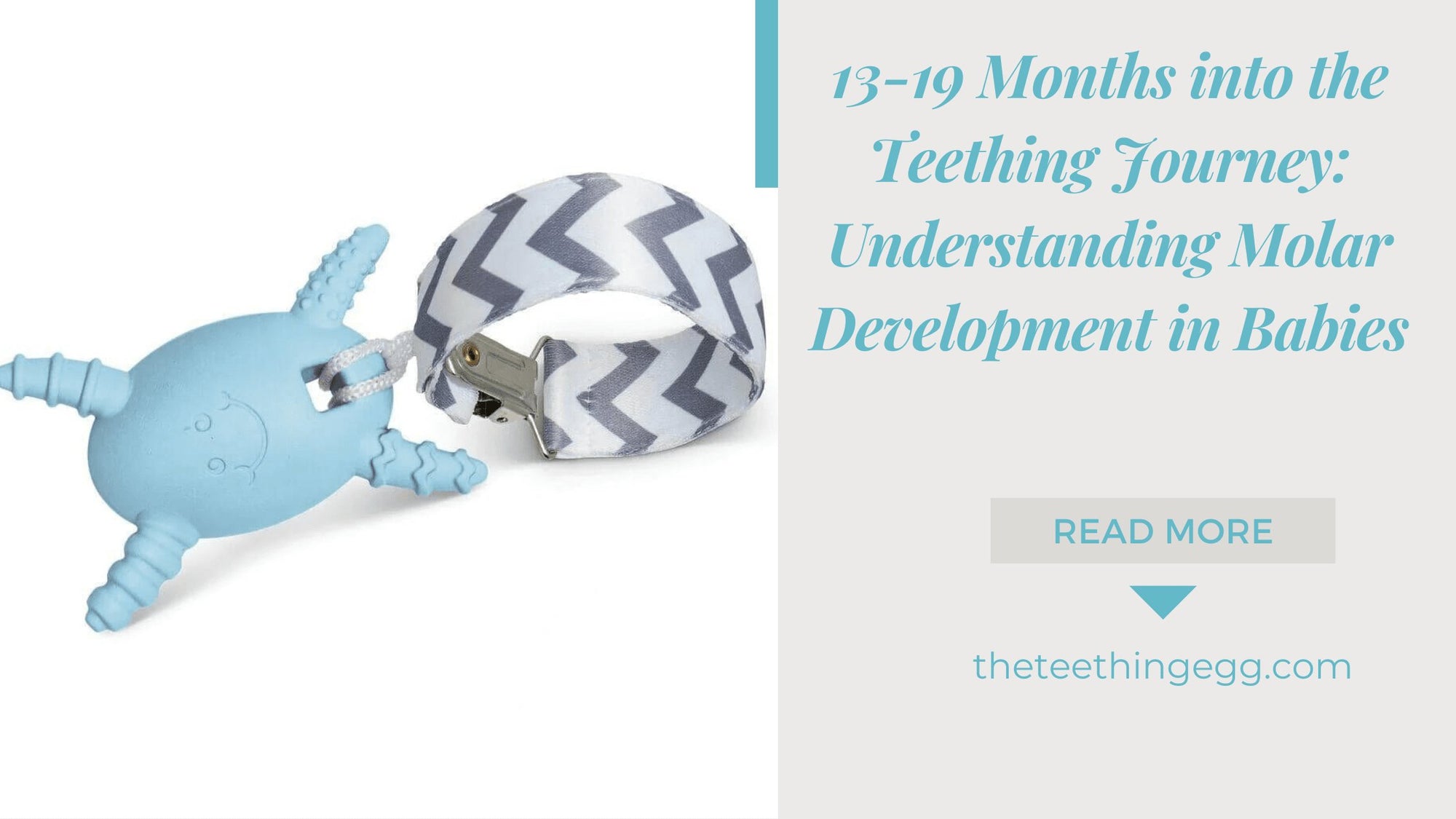 13-19 Months into the Teething Journey: Understanding Molar Development in Babies
