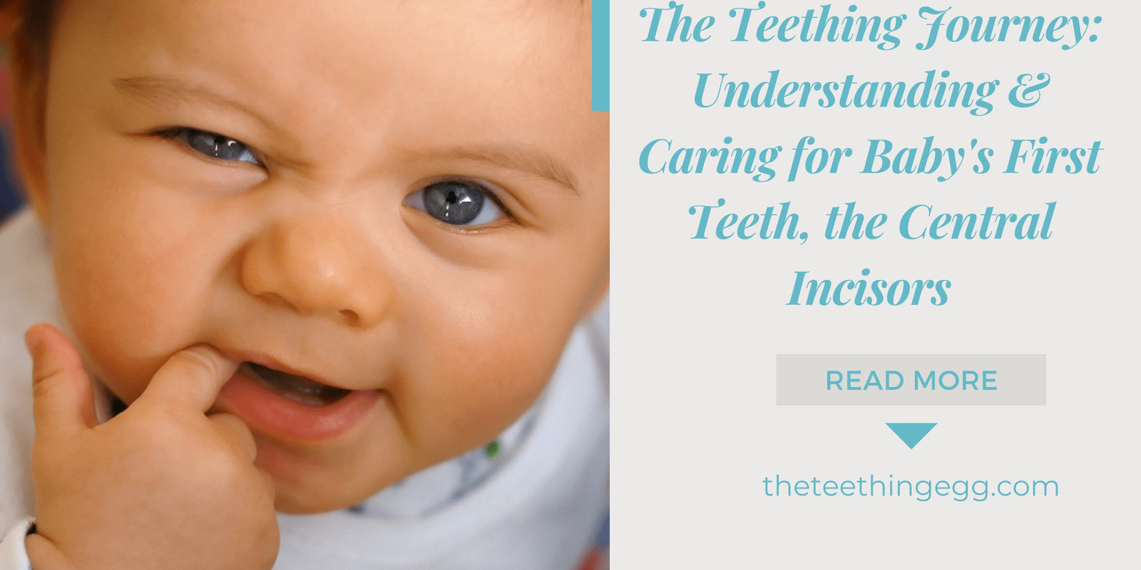 The Teething Journey: Understanding, Supporting, and Caring for Baby's First Teeth, the Central Incisors