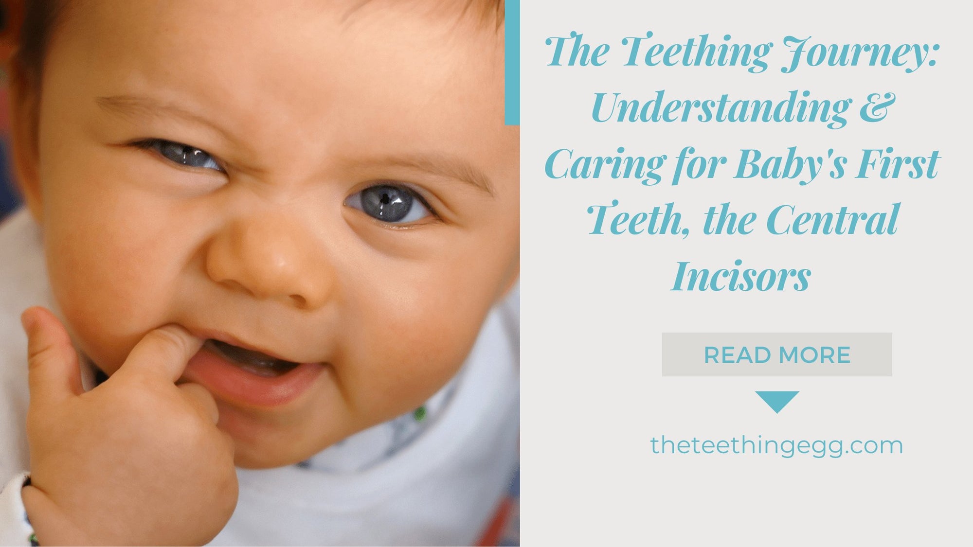 The Teething Journey: Understanding, Supporting, and Caring for Baby's First Teeth, the Central Incisors