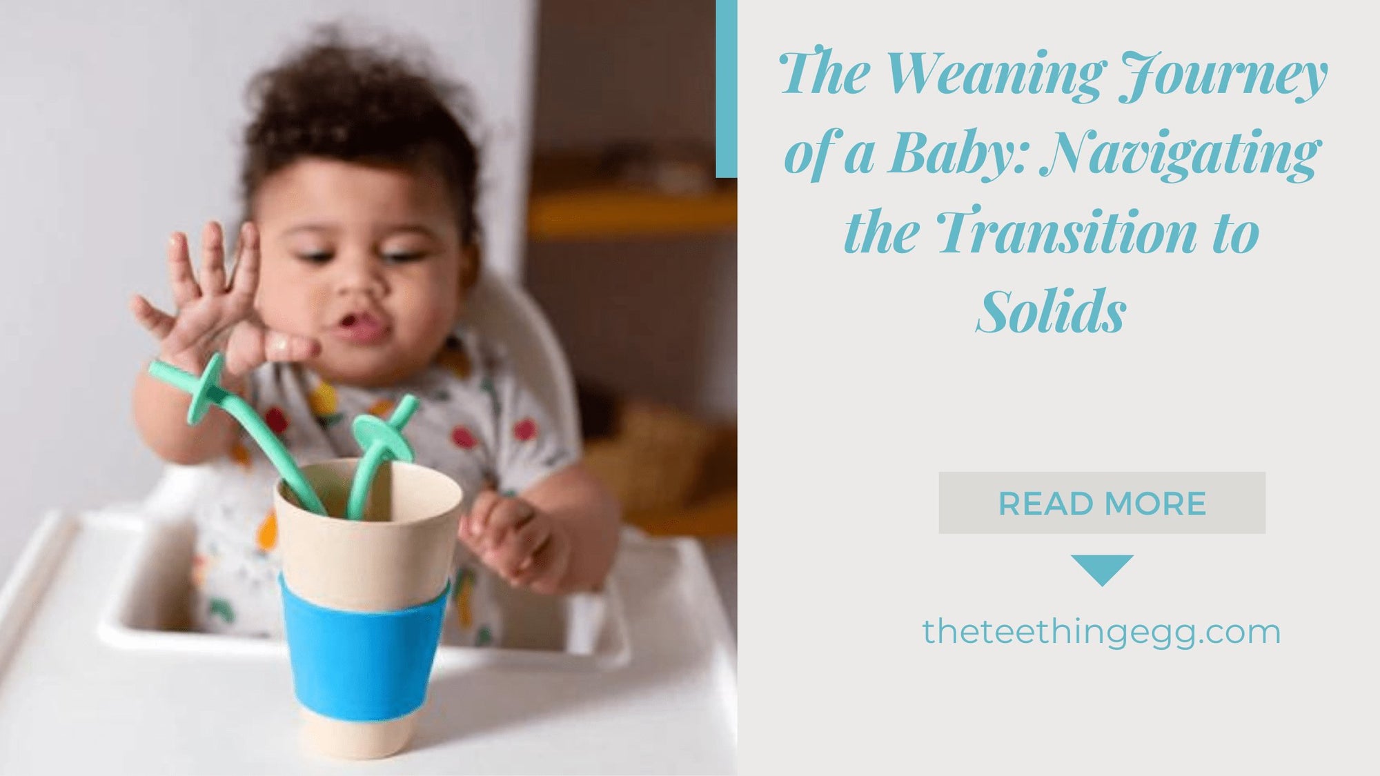 The Weaning Journey of a Baby: Navigating the Transition to Solids ...
