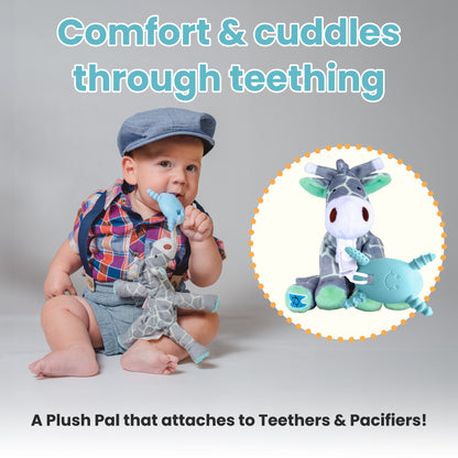 Blue Gift Set | 6-24 Months Molar Toothbrush
