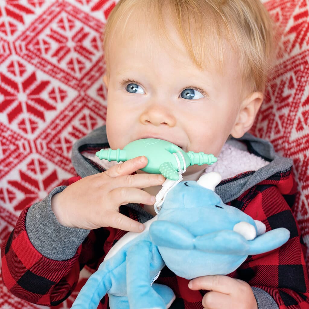 Teething Pals Teething Egg The Teething Egg 