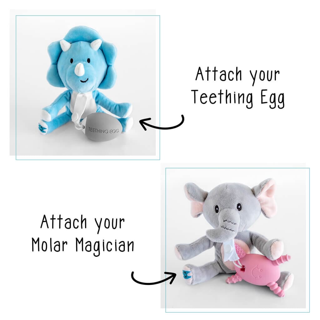 Teething Pals Teething Egg The Teething Egg 