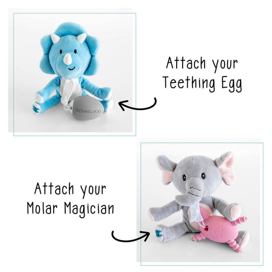 Teething Pals Teething Egg The Teething Egg 