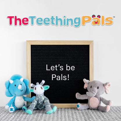 Teething Pals Teething Egg The Teething Egg 