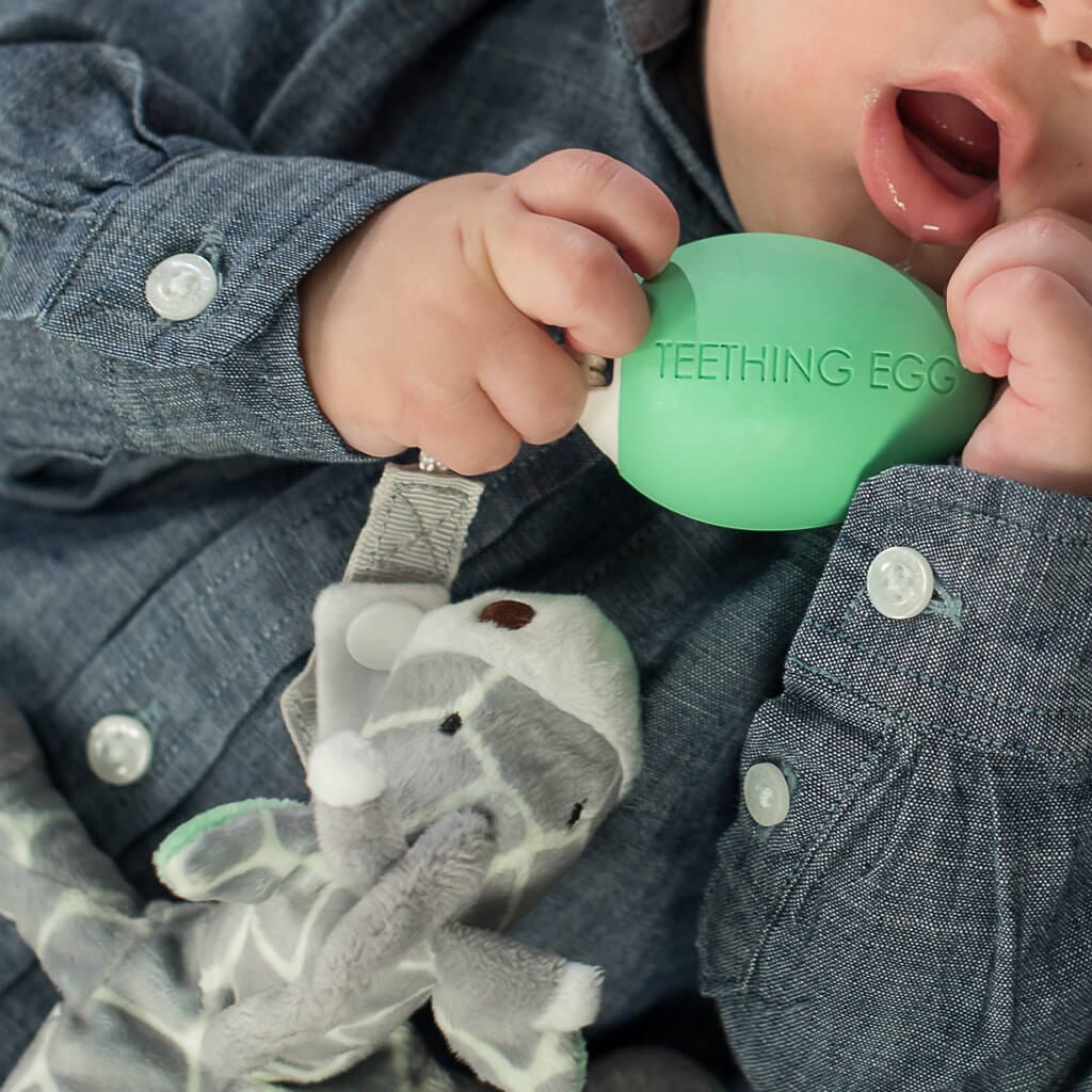 Teething Pals Teething Egg The Teething Egg 