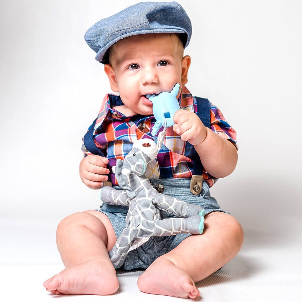 Teething Pals Teething Egg The Teething Egg 