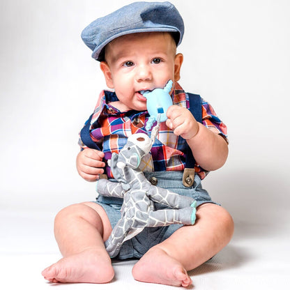 Teething Pals Teething Egg The Teething Egg 