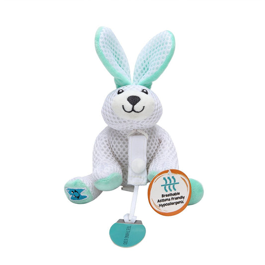 Teething Pal- Bopsy Mint Bunny - The Teething Pals- Bopsy Mint Bunny